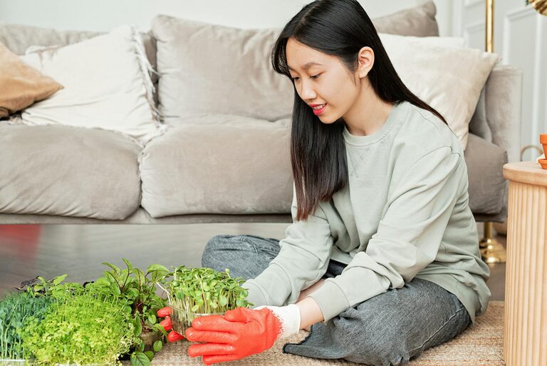 Essential Tips for Keeping Your Houseplants Healthy and Thriving